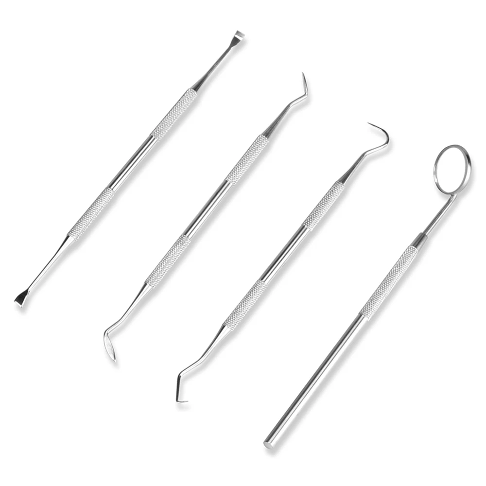4pcs/Set Tartar Scraper Scaler - Urban Farming System ulasan dan harga