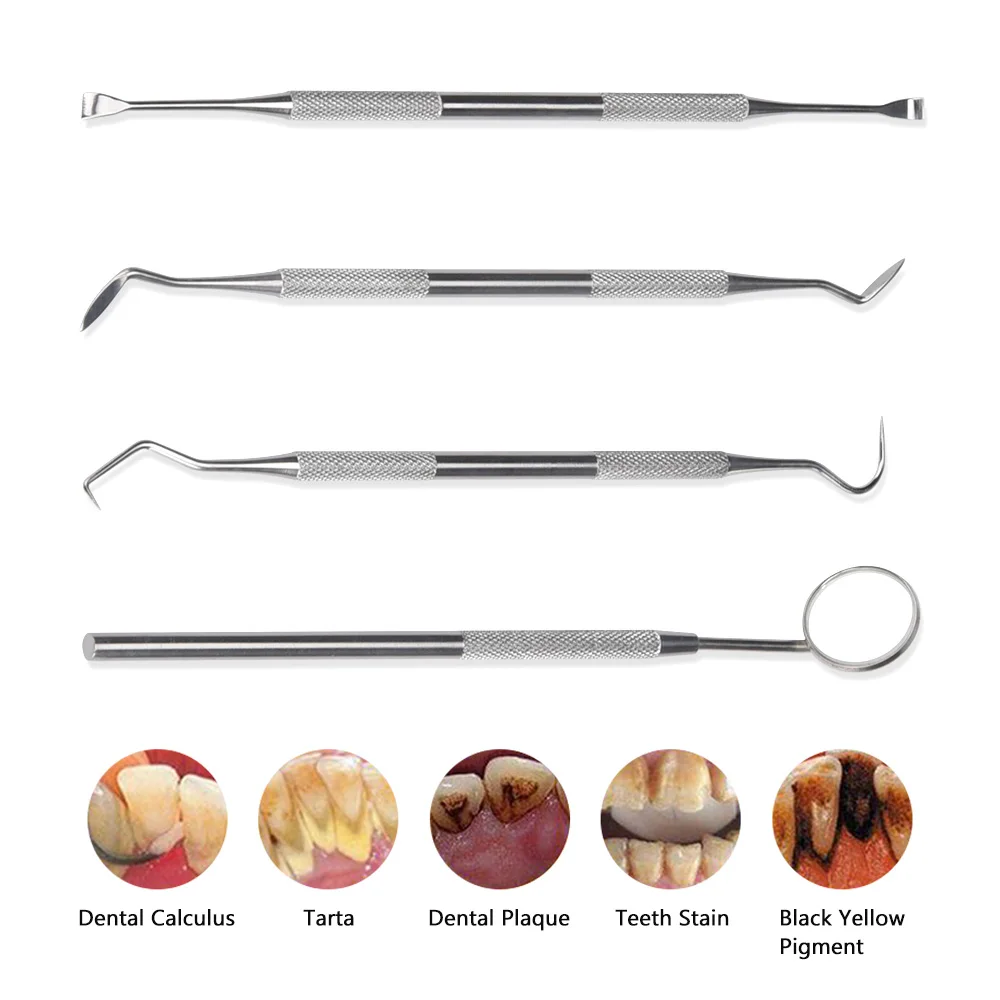 4pcs/Set Tartar Scraper Scaler - Urban Farming System ulasan dan harga