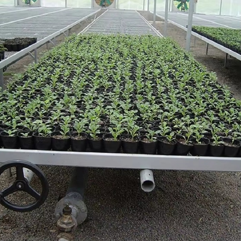 Movable Propagation Flood and  - Flood Tray Table ulasan dan harga